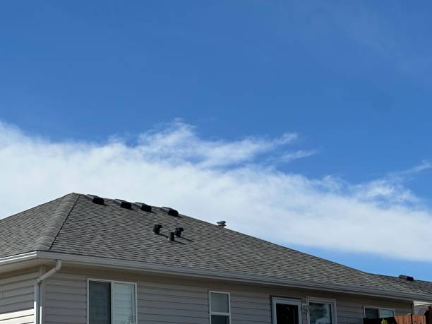 Best Asphalt Shingles Roofing  in Farmville, VA