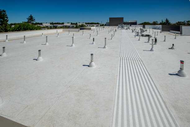 Best Storm Damage Roof Repair  in Farmville, VA